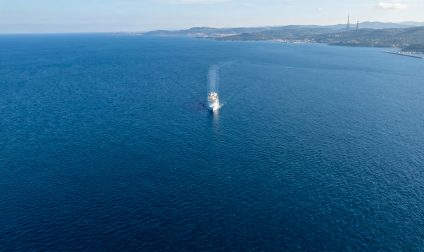 Cruise ship in the wide ocean but near land.